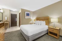 Best Western Aladdin Inn Hotels in Kelso