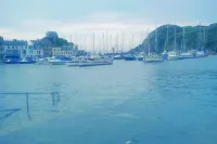 Hollies and Ilfracombe Harbour View Hotels in Combe Martin