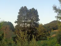 L'Annexe du Château de Saint Genix Hotels in Champagneux