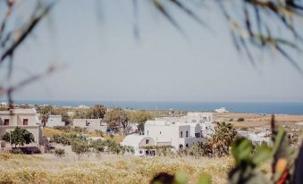 Pueblo Viejo Suites