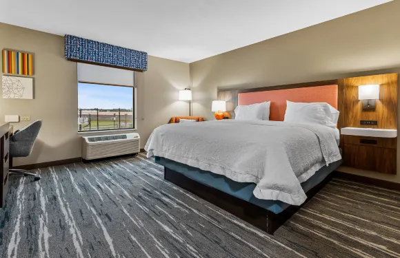 希爾頓歡朋酒店-坦波