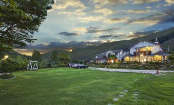 Hwacheon Parprika Yellow Pension