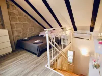 Dalmatian White Shell - Apartments