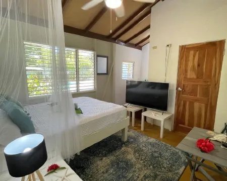 Bak A Yaad Hotels in West End