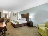 Quality Inn Clute Freeport Hotels in Clute