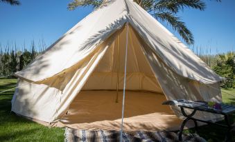 Festival Campgrounds Rancho 51