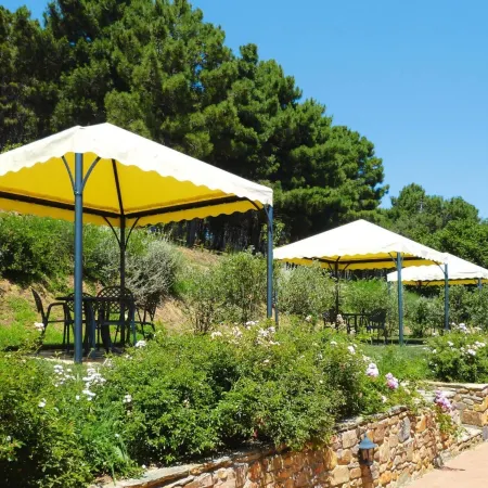 Estate in Monte Serra With Pool & Olive Views