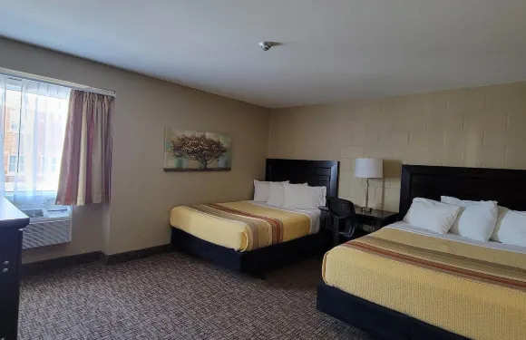 沉睡貓頭鷹酒店