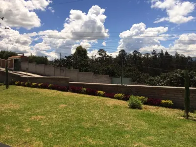 Las Hortensia's Casa De Huespedes Hoteles en Pifo