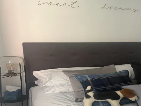 Stunning 1-Bed Private Apartment in Norwich