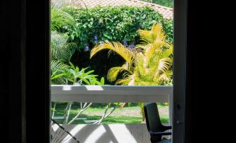 Olivia del Caribe Suite