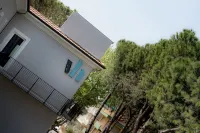 Hotel Vagabond