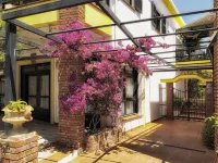 Elia Apartments Hotels in Afytos