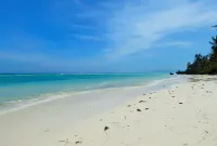 Island View Beachfront Resort - Ocean View