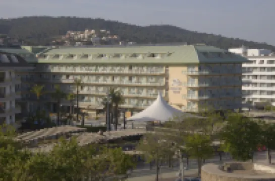 ALEGRIA Caprici Verd