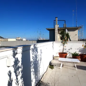 Gatto Bianco le Terrazze