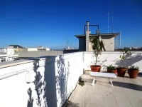 Gatto Bianco Le Terrazze