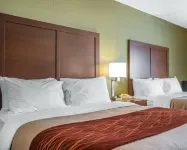 Comfort Inn Hotel a Winchester