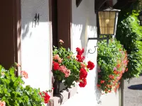 Hotel Gasthaus Adler Hotels in Glottertal