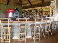 Africa Safari Lake Natron - bars