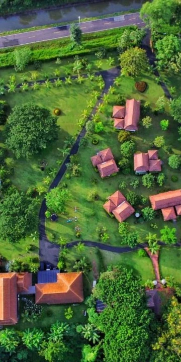 รูปภาพของป่าไผ่ คันทรี ลอดจ์