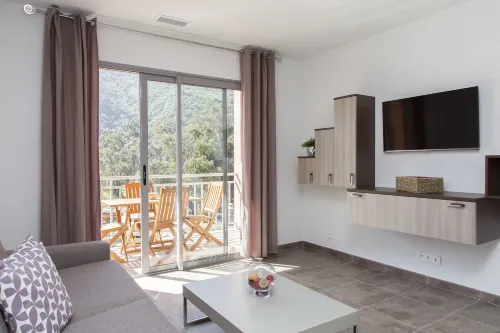 Résidence Hotelière Capu Seninu - Wifi