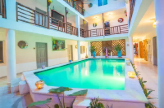 メスティーソ ギャラリー