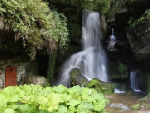 Gaststätte & Pension Lichtenhainer Wasserfall Hotels in Sebnitz
