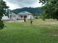 Wildwin Resort - Hostel Hôtels à : 