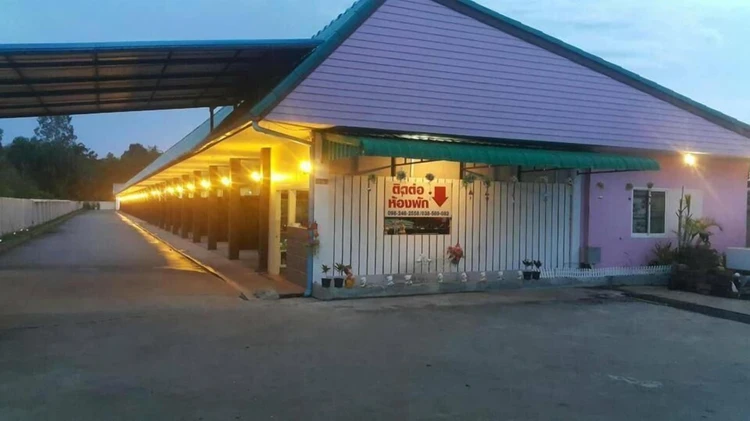 รูปภาพของต้นปาล์มรีสอร์ท