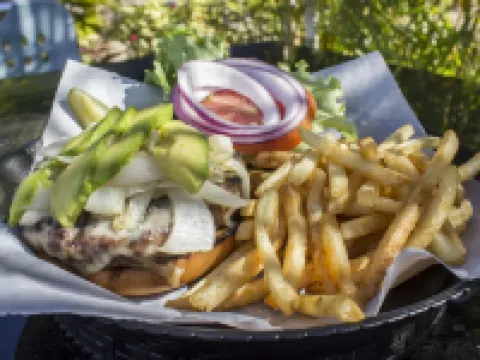 Rodeway Inn & Suites Fort Lauderdale Airport & Cruise Port Hotels in Dania Beach