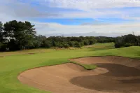 Racv Cape Schanck Resort