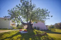 Cegonha Country Club Hotels in Куартейра