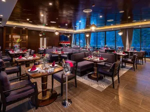 Stellar Of The Seas