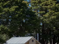 Paxton Square Cottages Hotels in Burra