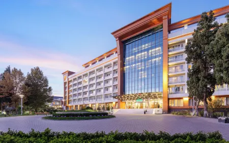 Chinar Health Hotel Naftalan Отели в г. Нафталан