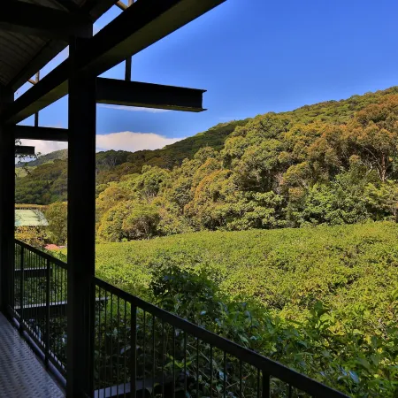 The Rainforest Ecolodge - Sinharaja with Shuttle Service from Car Park