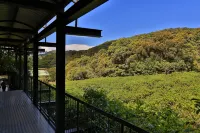 熱帶雨林生態度假旅館 - 山景
