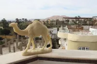 Morning Star Apartment