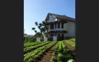 Notes from the Mountains Hotels in Cihideung