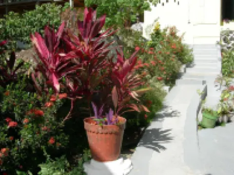 Casa del Vega a Little Peace of Heaven Hotels in Castries