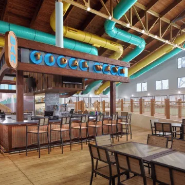 Great Wolf Lodge Webster