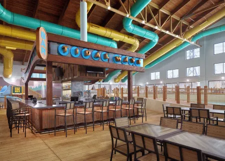 Great Wolf Lodge Webster