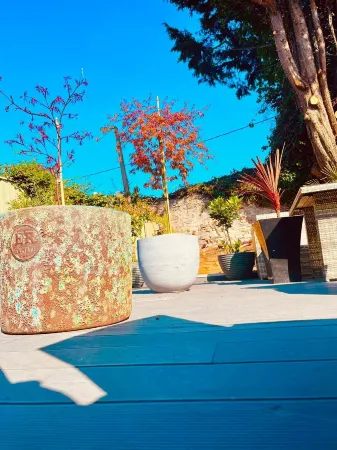 Bull Hotel Отели в г. Кинмел Бэй энд Товин