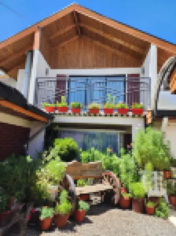 오스페다헤 슈옌  호텔