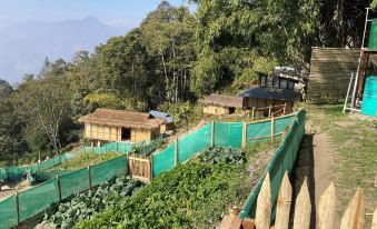 Art Mile Kalimpong