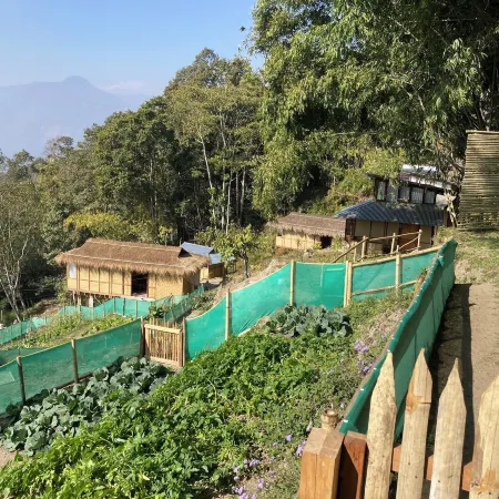 Art Mile Kalimpong