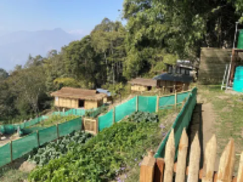 Art Mile Kalimpong