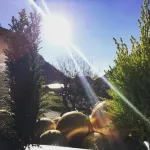 B&B La Corte del Segrino Hotels in Bosisio Parini