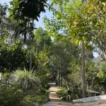 Vana Homestay